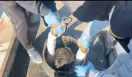 Durdurulan tankerden 30 düzensiz göçmen çıktı