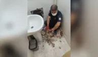 İki bina arasında sıkışan kedi kurtarıldı