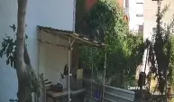 Yumurtaları alıp götüren karga kamerada