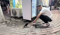 Siirt'te susayan kargaya esnaf tarafından su verildi