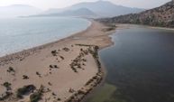 İztuzu Kumsalı'nda caretta carettaların yuvalama dönemi tamamlandı
