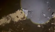 Samsun’da sahile vuran dolu çuvallar, ekipleri harekete geçirdi