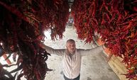 Edirne tava ciğerinin vazgeçilmezi Karaağaç biberinde kurutma dönemi
