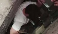 Apartman boşluğuna düşen yavru kediyi itfaiye kurtardı