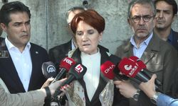 Akşener: Meşru beklentimiz, Sayın Cumhurbaşkanı'nın AYM'ye destek vermesidir