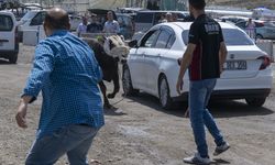 Kurban pazarında kaçan boğa çevredekilere zor anlar yaşattı