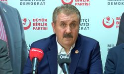 Destici: Mahkemeden farklı bir karar beklemiyorum