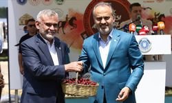 Bursa'da üretilen "Keles kirazı"nın coğrafi işaret tescili yapıldı