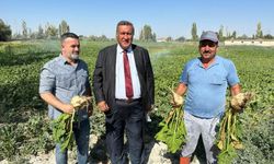"Şeker fiyatlarına zam üstüne zam geliyor"