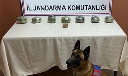 Peynir bidonunda 5 kilo esrar ele geçirildi; 4 tutuklama