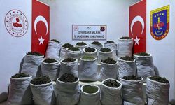 435 kilo esrar, 632 bin kök kenevir ile skunk ele geçirildi