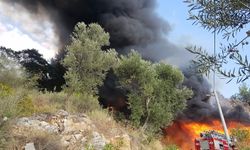 Muğla'da bungalovda çıkan yangın, ormana da sıçradı