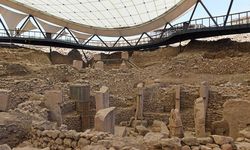 Taş Tepeler'deki arkeolojik bulgular uluslararası sempozyumda ele alınacak