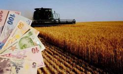 TÜİK: Tarımsal girdi fiyat endeksi ağustosta arttı