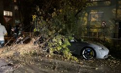 Ankara'da rüzgar nedeniyle üzerine ağaç devrilen otomobil hasar gördü