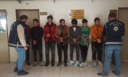 Amasya'da 8 kaçak göçmen yakalandı