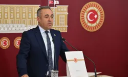 Toplu balık ölümlerini meclise taşıdı