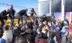 Adana Kültür Günleri Yenikapı'da başladı: 10 ton portakal dağıtıldı