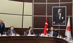 ASELSAN ve HAVELSAN arasında 'iş paylaşımı' mutabakatı 