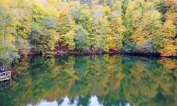 Türkiye'de sayıları 136'ya ulaşan ekoturizm alanları ekonomiye yıllık 2 milyar lira katkı sağlıyor