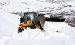 Kar yağışı; kapanan 75 yoldan 24'ü açıldı