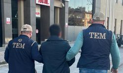 Erzincan'da, terör örgütü propagandası yapan kişi tutuklandı