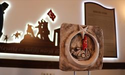 Çanakkale Savaşı'nda mezun veremeyen lisenin öğrencilerinden "Vefa" sergisi