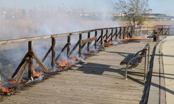 Mogan Gölü kıyısındaki sazlık alanda çıkan yangın söndürüldü