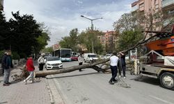 Konya'da fırtına etkili oluyor