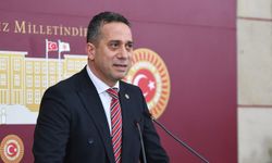 CHP'li Başarır: 5 yıl sonra söndürülecek bir orman kalmayacak
