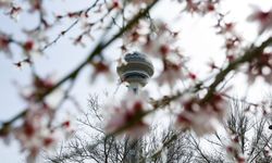 Ankara'da bugün bahar havası hakim