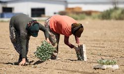 DEVA Partisi’nden ‘mevsimlik tarım işçileri’ çağrısı