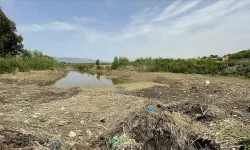 Büyük Menderes Nehri'nin bazı bölümlerinde sular çekildi