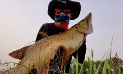 Kırklareli'nde amatör balıkçı 1 metre uzunluğunda turna balığı tuttu