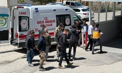 Başkale'de askeri araç devrildi: 11 yaralı