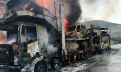 Alev alan TIR ile dorsesindeki sıfır kilometre 7 otomobil yandı
