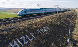 TCDD, otla mücadele kapsamında tren yollarında ilaçlama yapacak