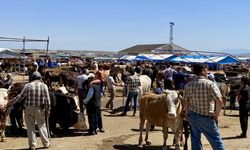 İç Anadolu'daki kurban pazarlarında arife günü hareketlilik yaşandı