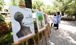 Kuğulu Park’ta Dünya Çevre Günü’ne özel karikatür sergisi