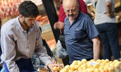 Ulus Hali'nde Haziran ayının gözdesi kayısı