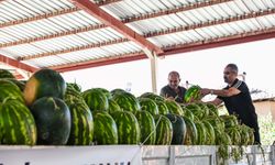 Denizli'de ürünü elinde kalan karpuz üreticisine destek