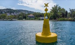 Marmara Denizi ve İstanbul Boğazı'ndaki deniz çayırları şamandıralarla korunacak