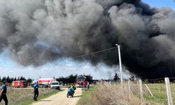 Tekirdağ'da fabrikada çıkan yangın kontrol altına alındı