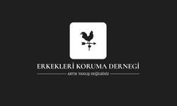 Erkekleri Koruma Derneği’nden Ankara’da eylem çağrısı