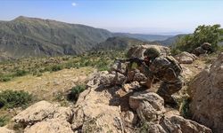 Fırat Kalkanı bölgesinde 8 PKK/YPG'li terörist etkisiz hale getirildi