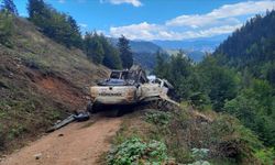 Artvin'de iş makinesi taşıyan kamyonun uçuruma devrildiği kazada 2 kişi öldü