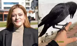 Üniversiteli Azra'nın karga ile videosu viral oldu