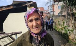 Fındık bahçesindeki kadını domuz sanıp, tüfekle vurarak öldürdü