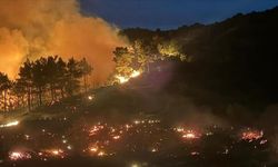 Muğla'da çıkan iki orman yangınına müdahale ediliyor