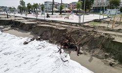 Sakarya'nın Karasu sahilindeki kıyı erozyonu sürüyor